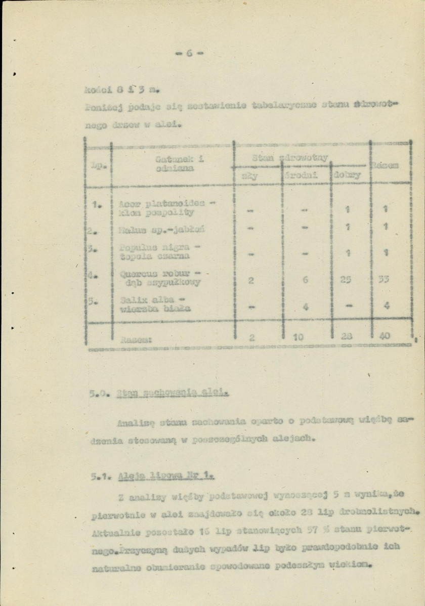 Ewidencja parkowa, skan nr 11