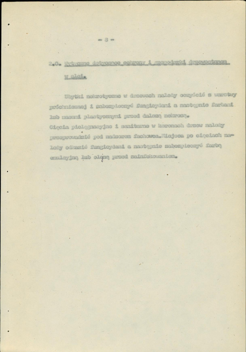Ewidencja parkowa, skan nr 13
