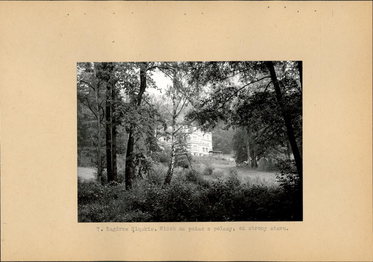 Ewidencja parkowa, skan nr 21