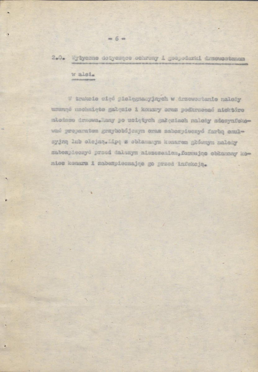 Ewidencja parkowa, skan nr 11