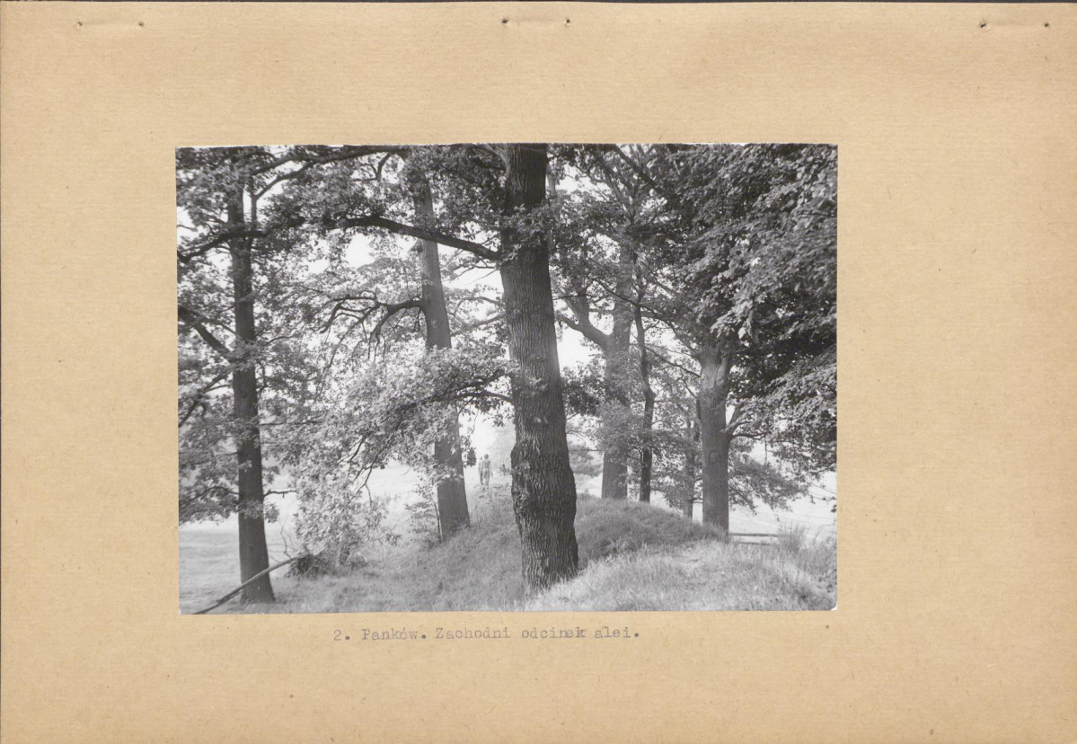 Ewidencja parkowa, skan nr 13