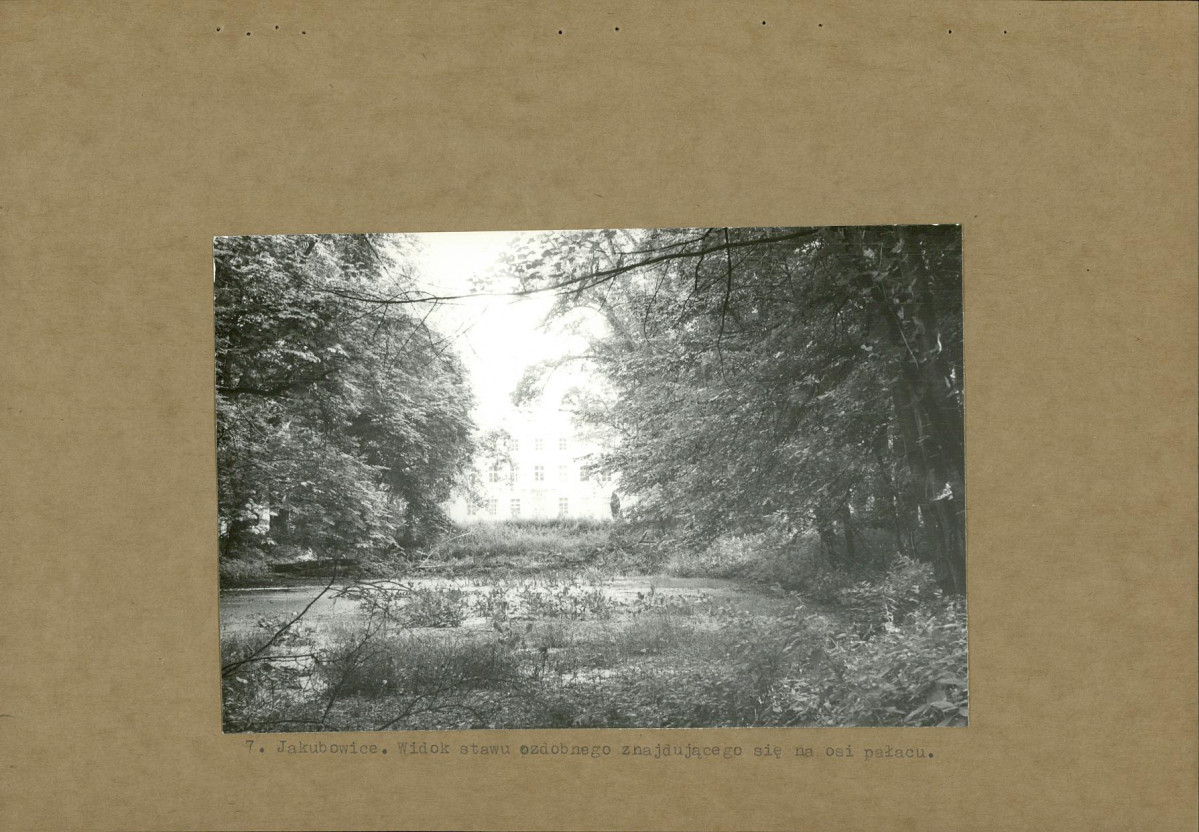 Ewidencja parkowa, skan nr 19