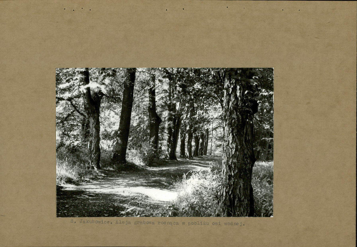 Ewidencja parkowa, skan nr 20