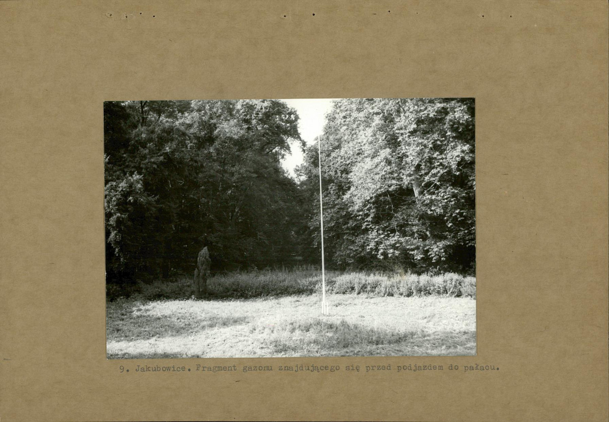 Ewidencja parkowa, skan nr 21