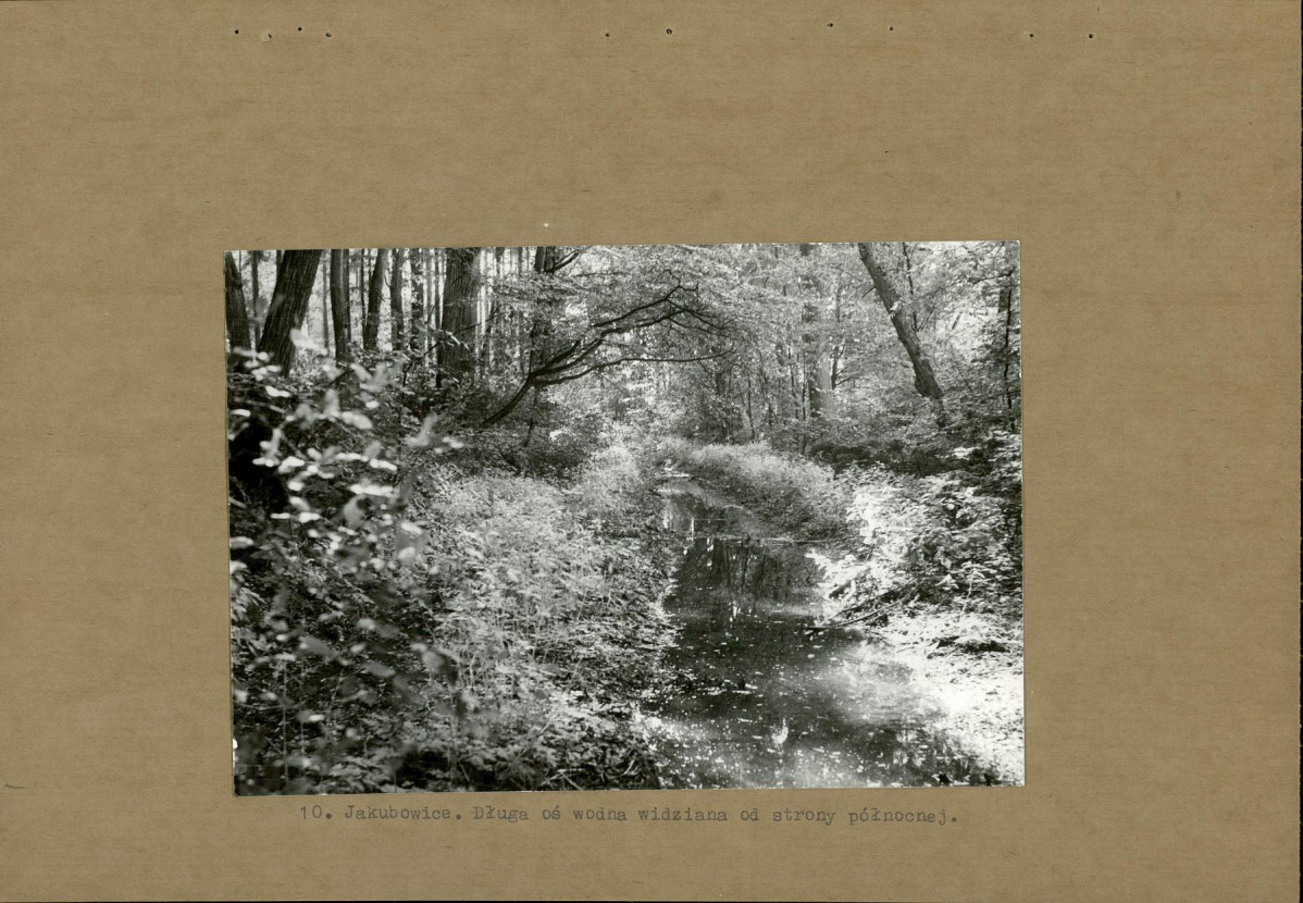 Ewidencja parkowa, skan nr 22