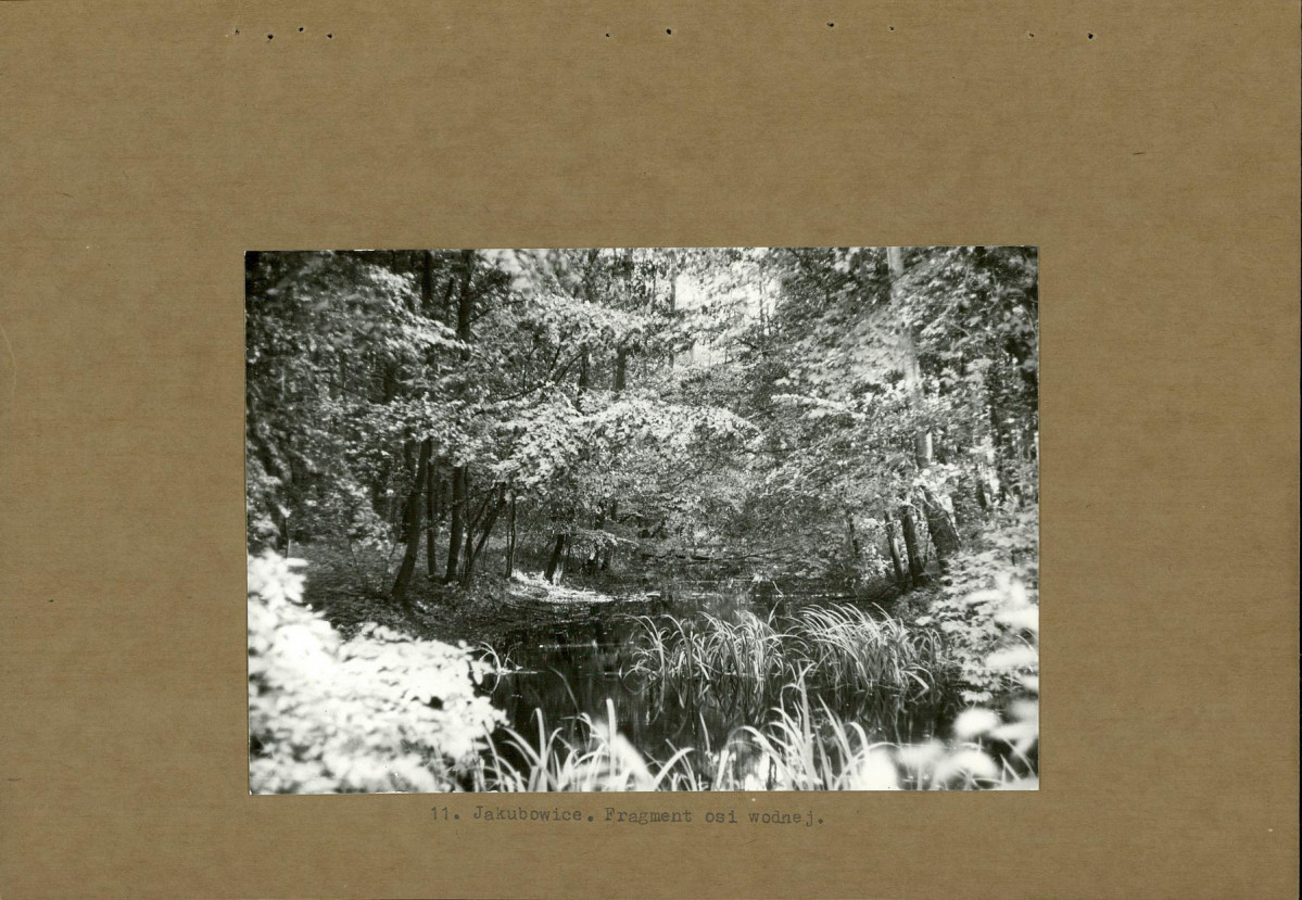 Ewidencja parkowa, skan nr 23