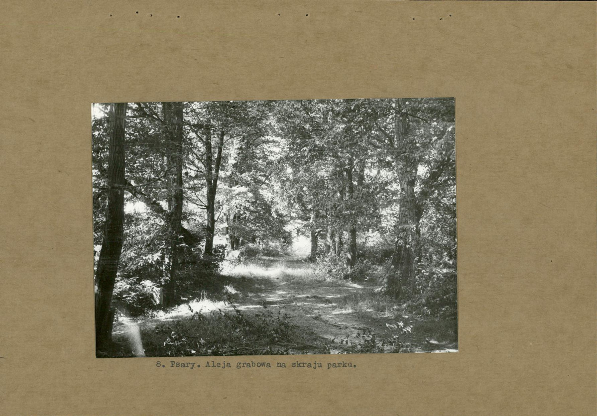 Ewidencja parkowa, skan nr 23