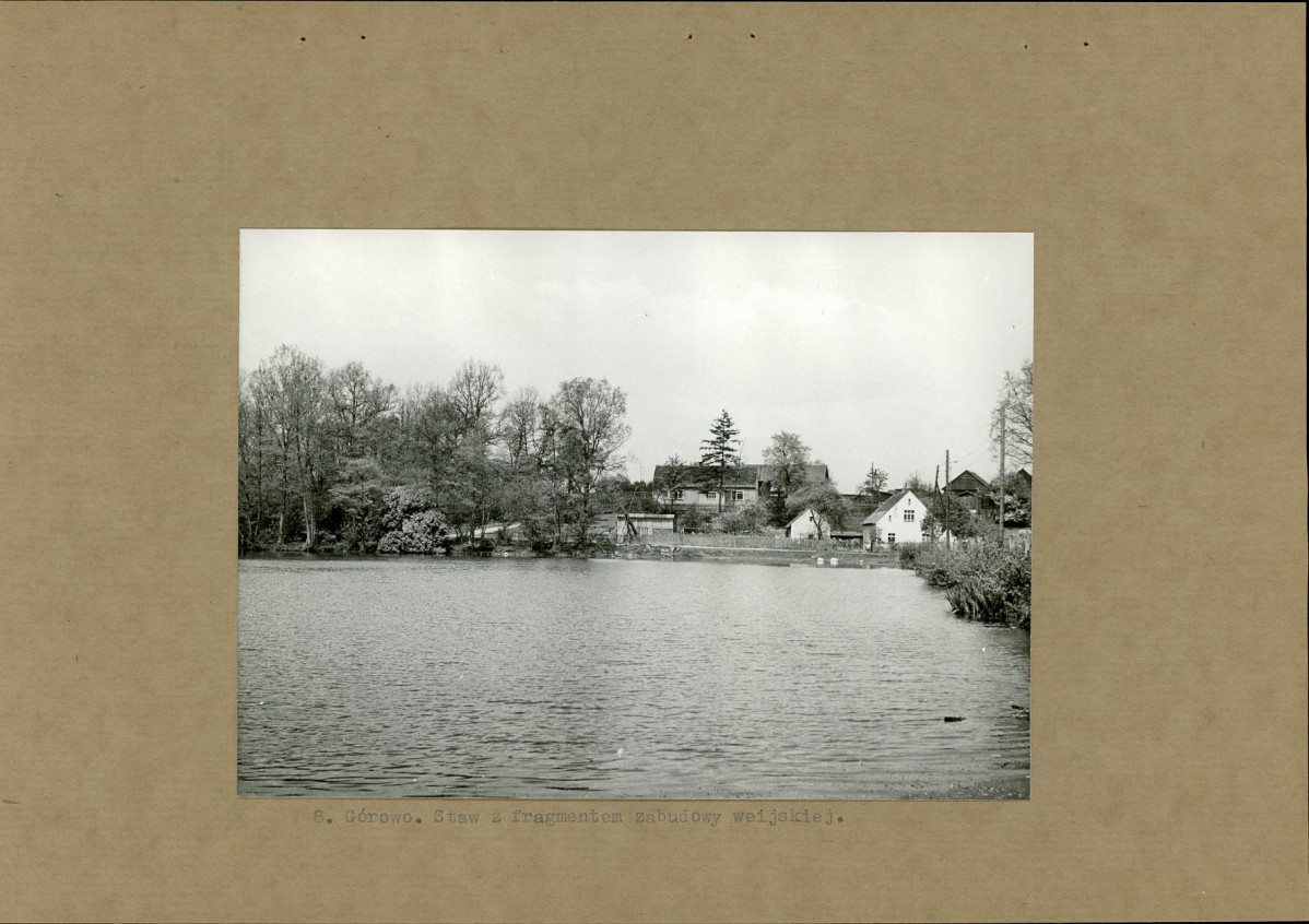 Ewidencja parkowa, skan nr 20
