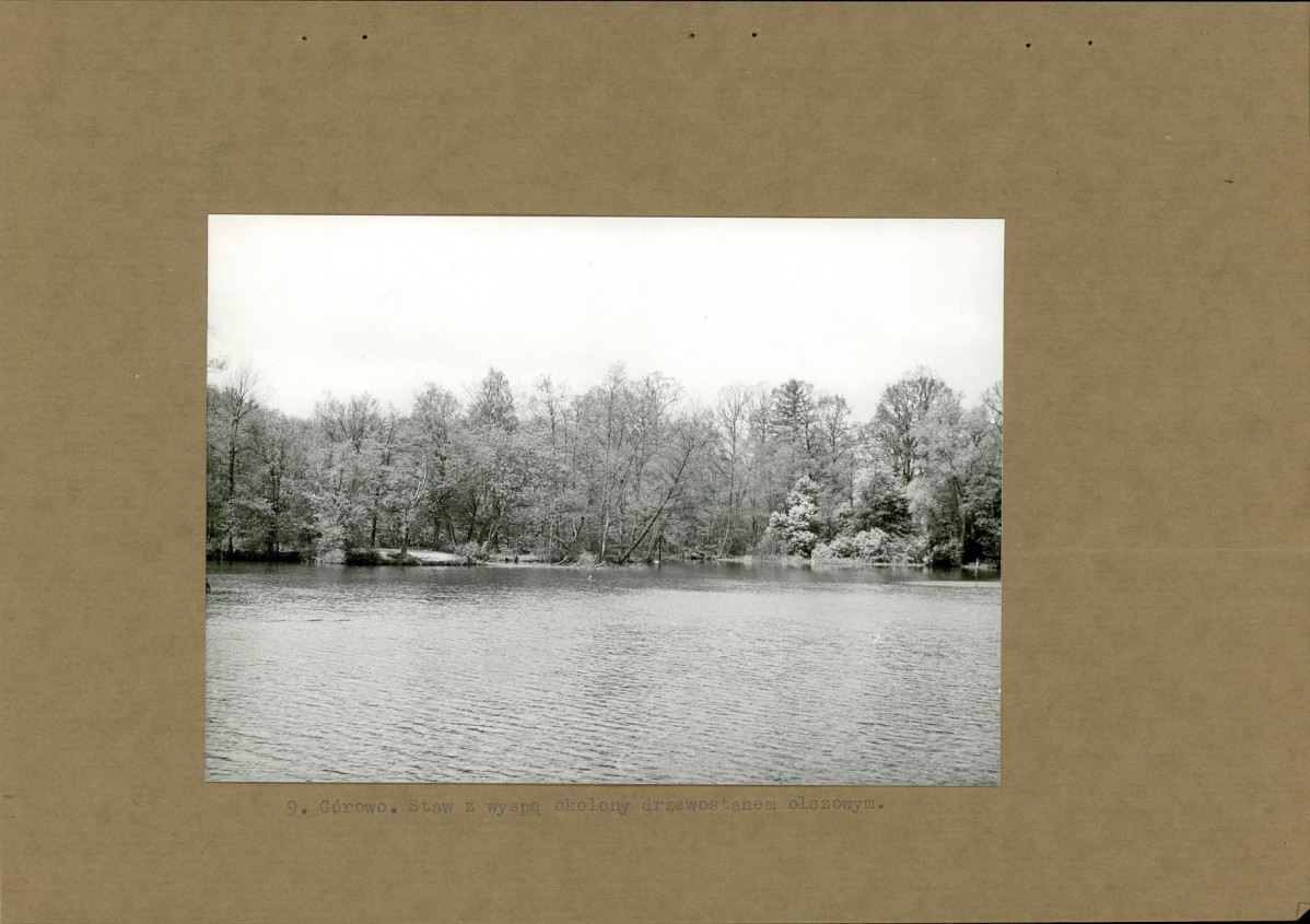 Ewidencja parkowa, skan nr 21