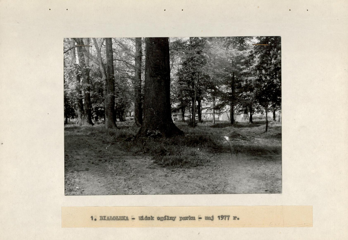 Ewidencja parkowa, skan nr 15