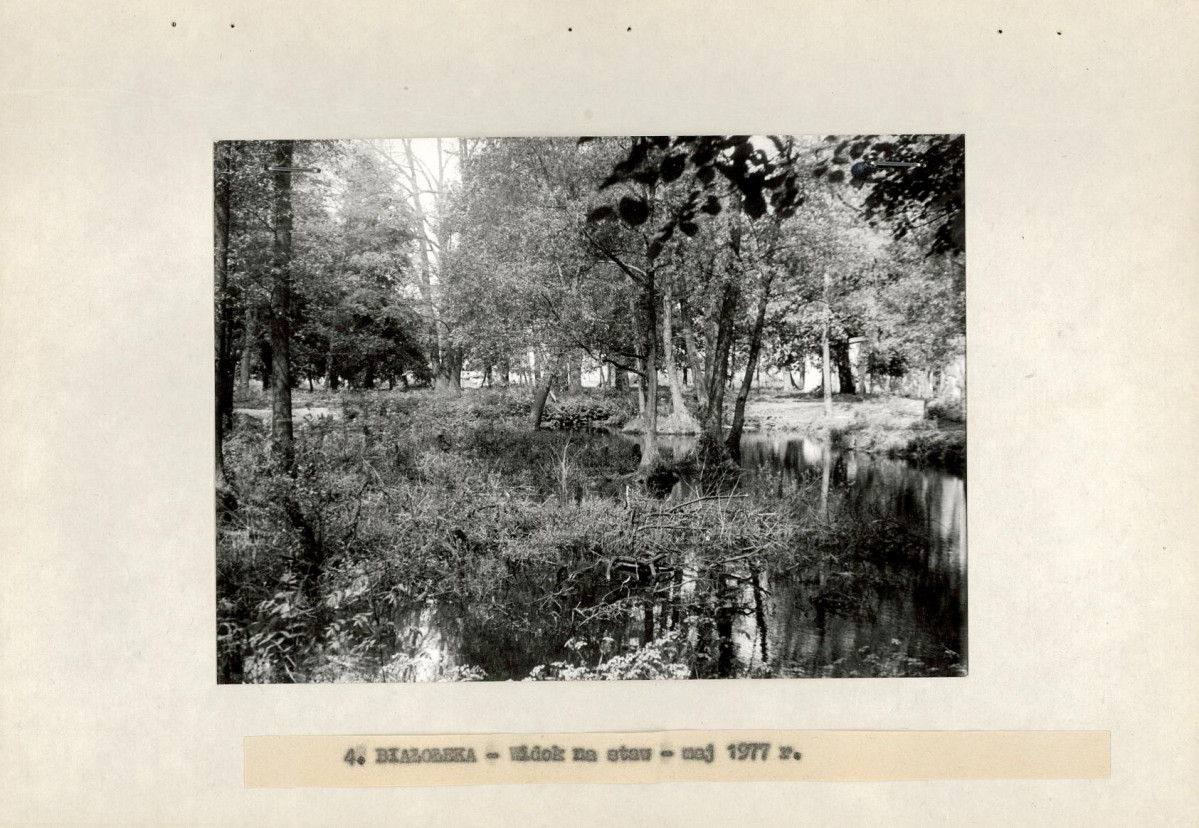 Ewidencja parkowa, skan nr 18