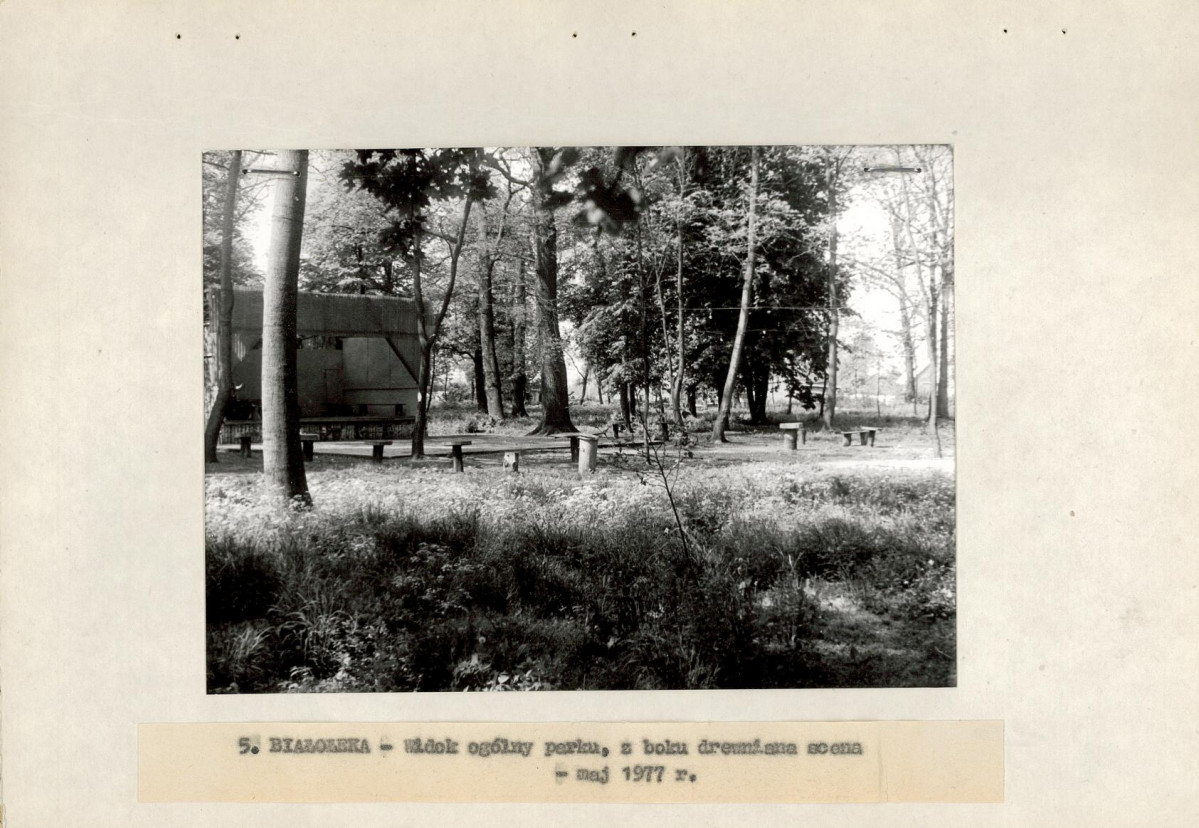 Ewidencja parkowa, skan nr 19