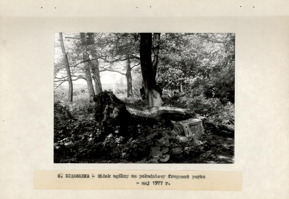 Ewidencja parkowa, skan nr 20