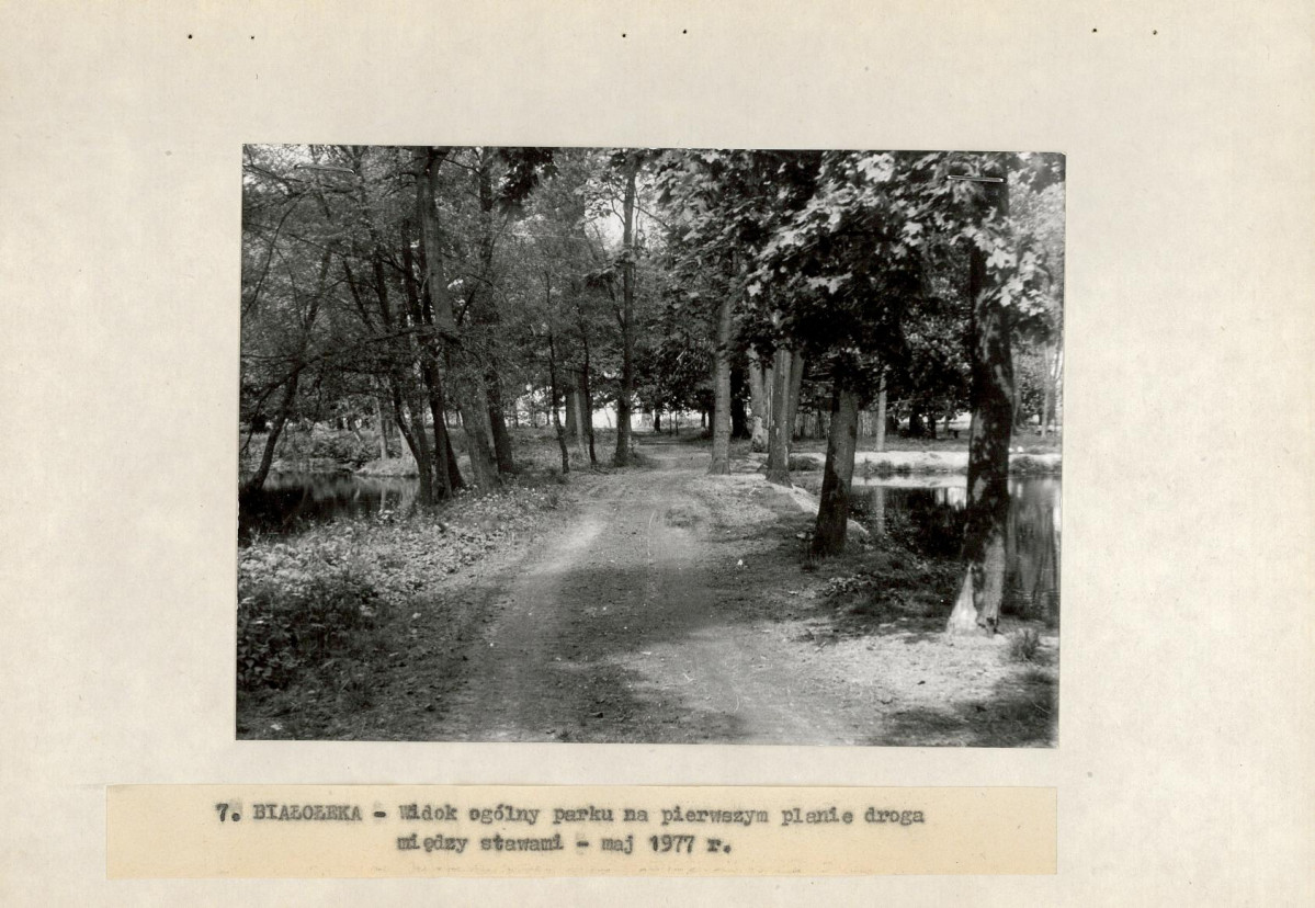 Ewidencja parkowa, skan nr 21