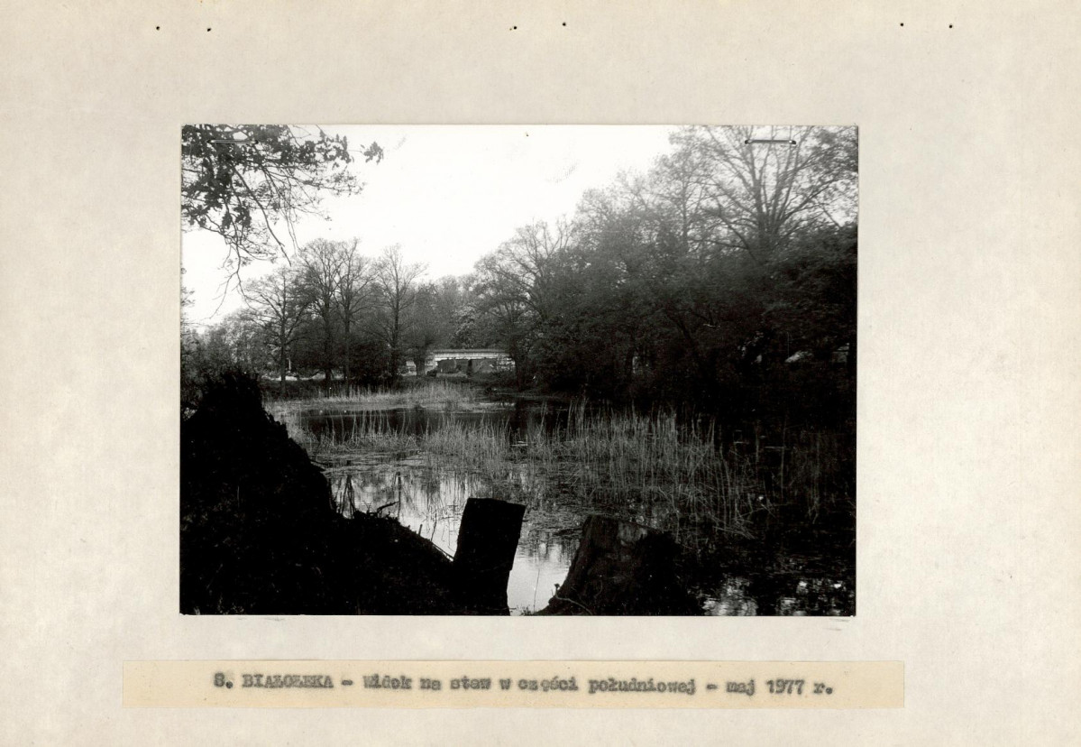 Ewidencja parkowa, skan nr 22