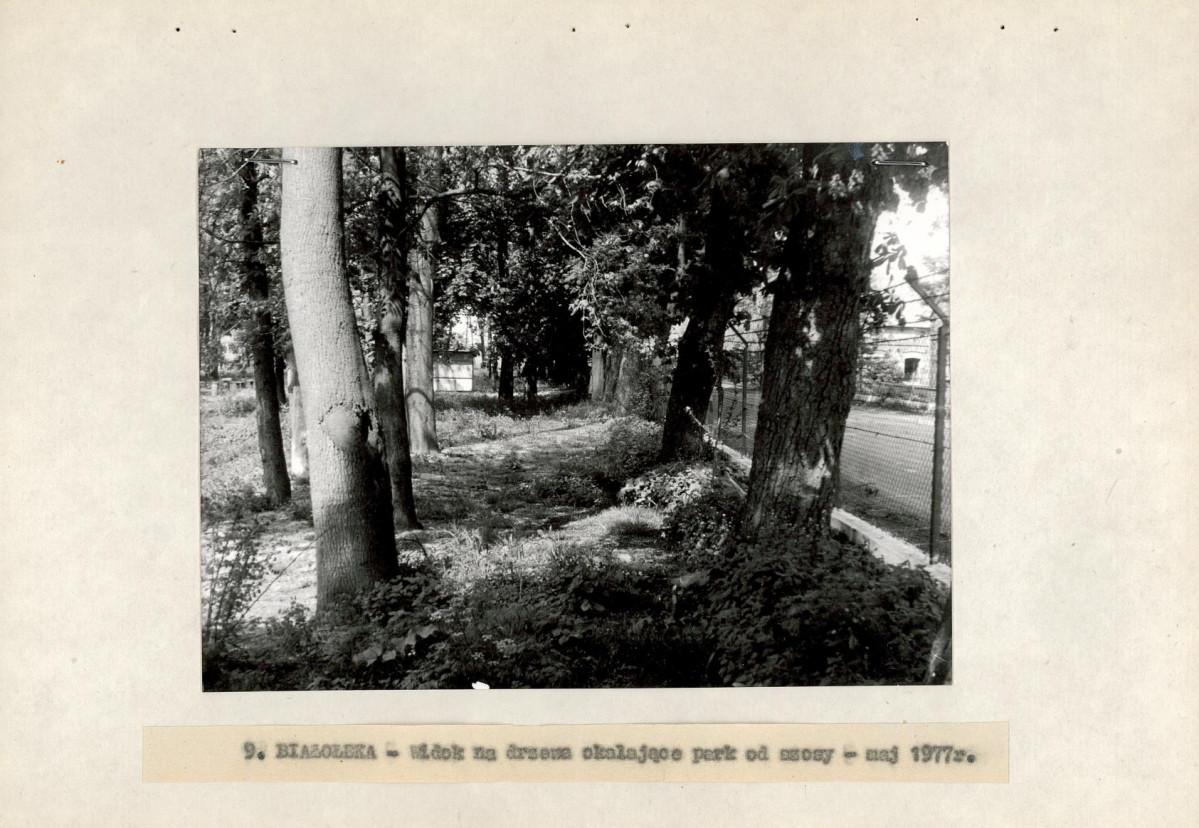 Ewidencja parkowa, skan nr 23