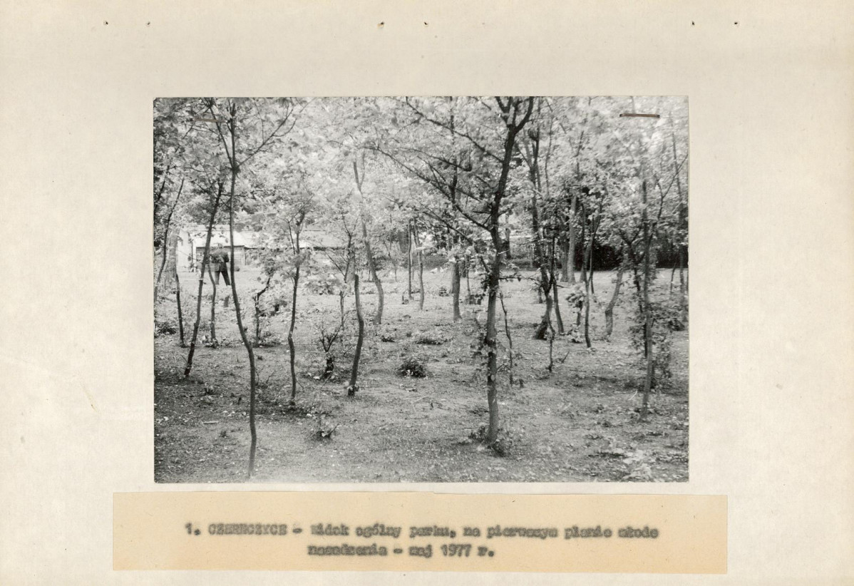 Ewidencja parkowa, skan nr 15