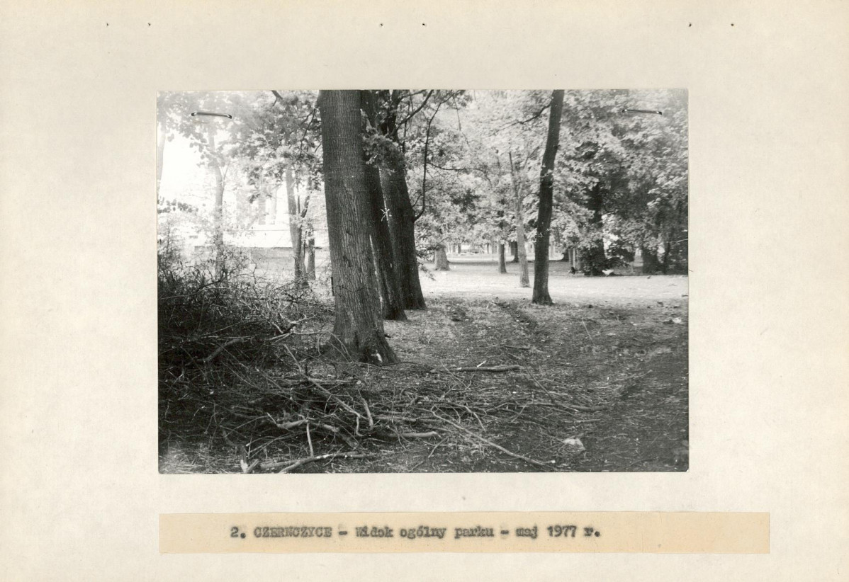Ewidencja parkowa, skan nr 16