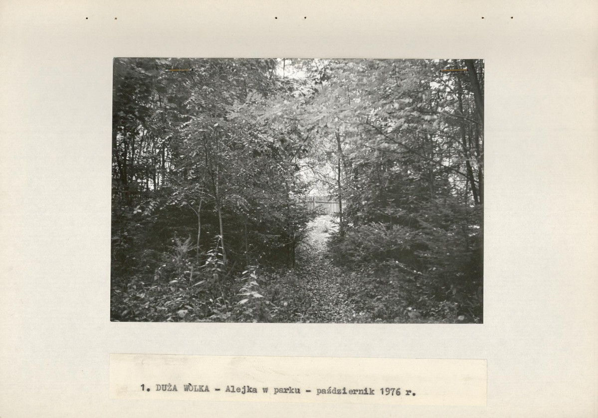 Ewidencja parkowa, skan nr 13