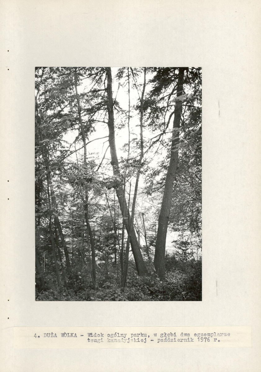 Ewidencja parkowa, skan nr 16