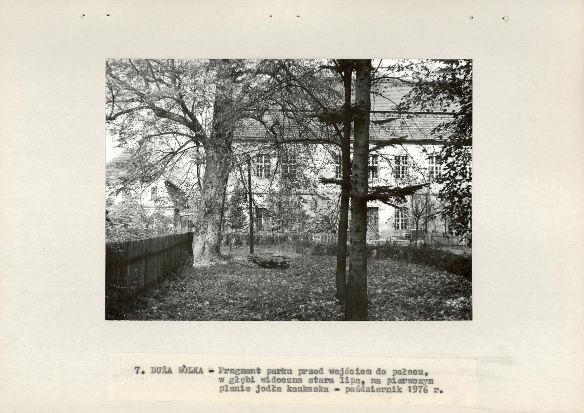 Ewidencja parkowa, skan nr 19
