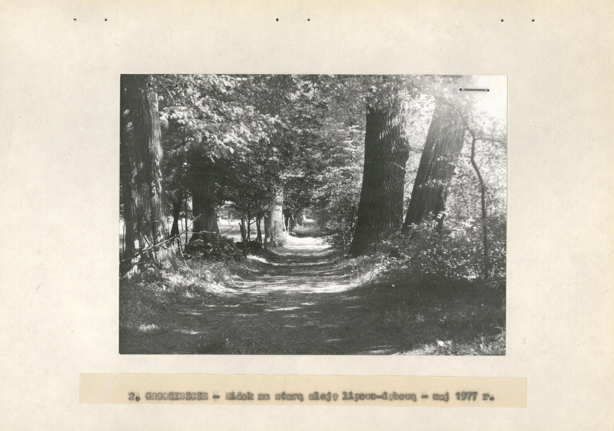 Ewidencja parkowa, skan nr 20