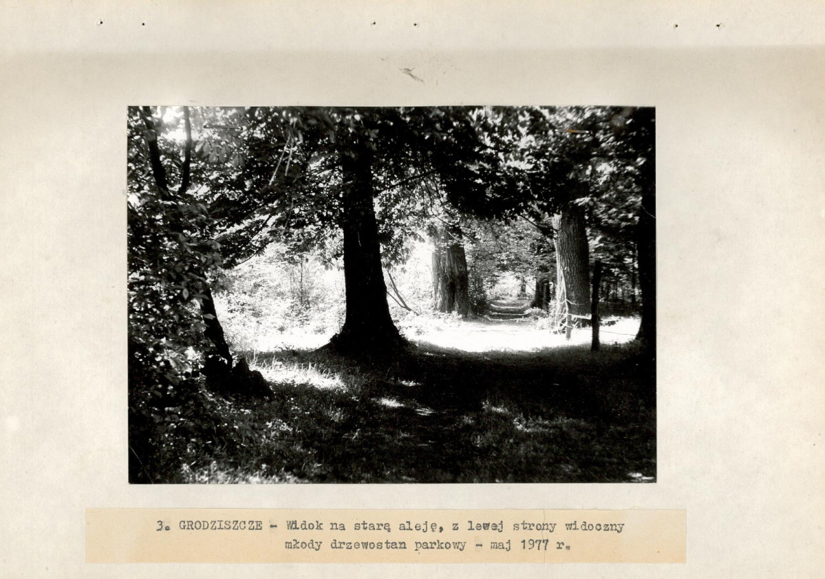 Ewidencja parkowa, skan nr 21