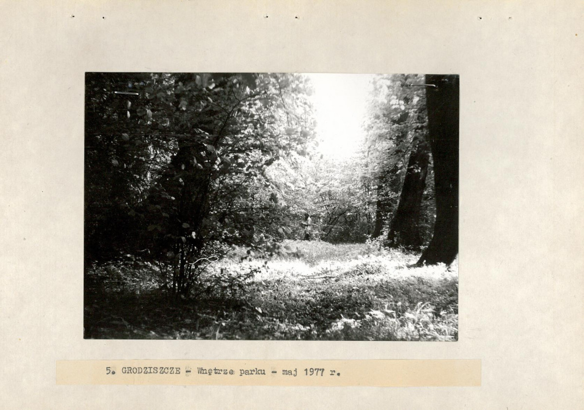 Ewidencja parkowa, skan nr 23