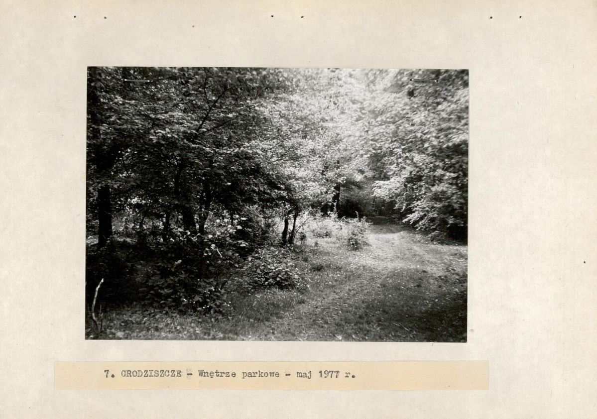 Ewidencja parkowa, skan nr 25