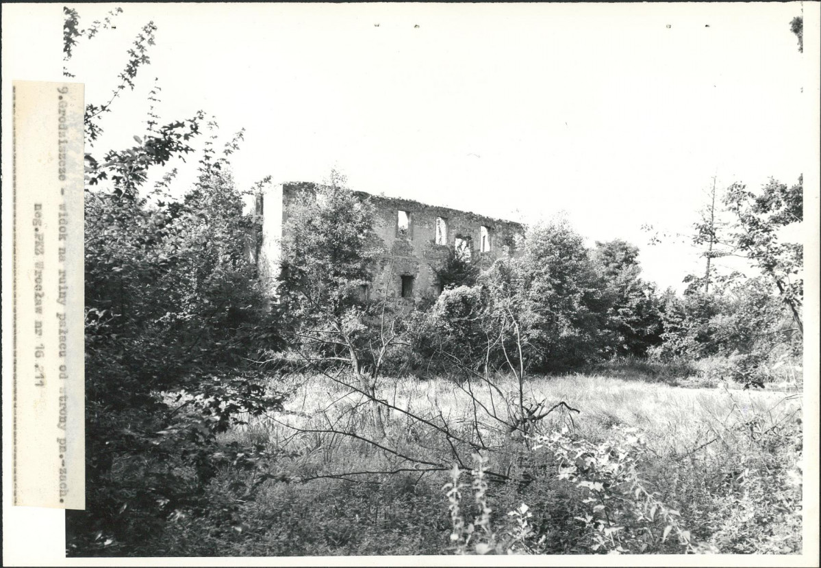 Ewidencja parkowa, skan nr 28