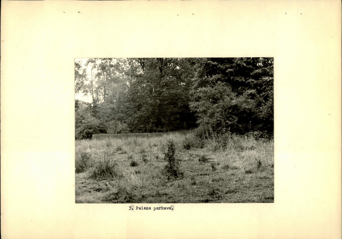 Ewidencja parkowa, skan nr 17