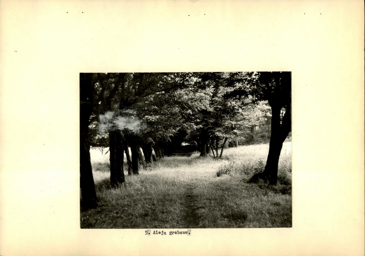 Ewidencja parkowa, skan nr 19