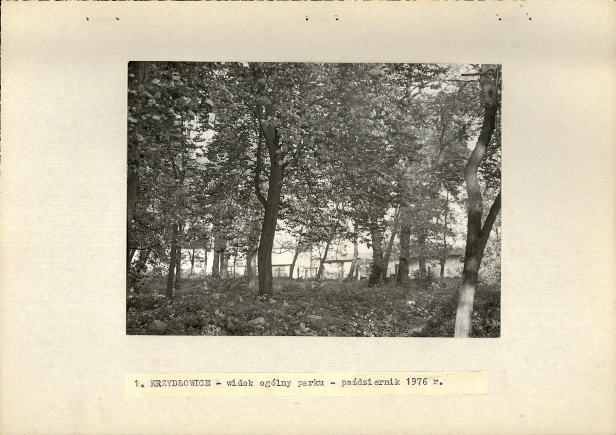 Ewidencja parkowa, skan nr 15