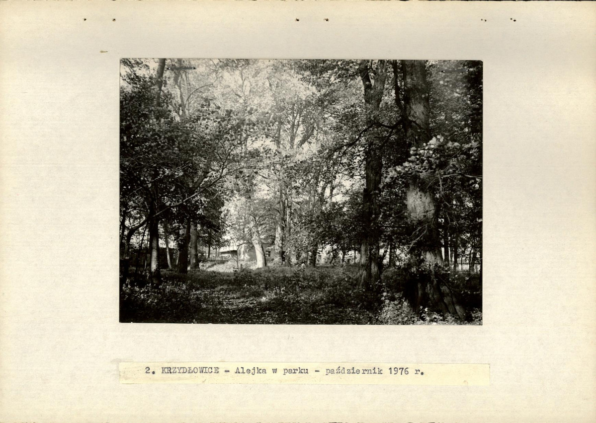 Ewidencja parkowa, skan nr 16