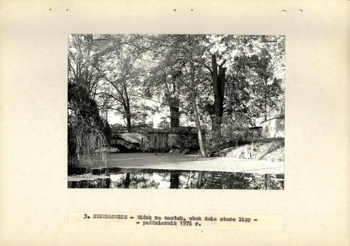 Ewidencja parkowa, skan nr 17