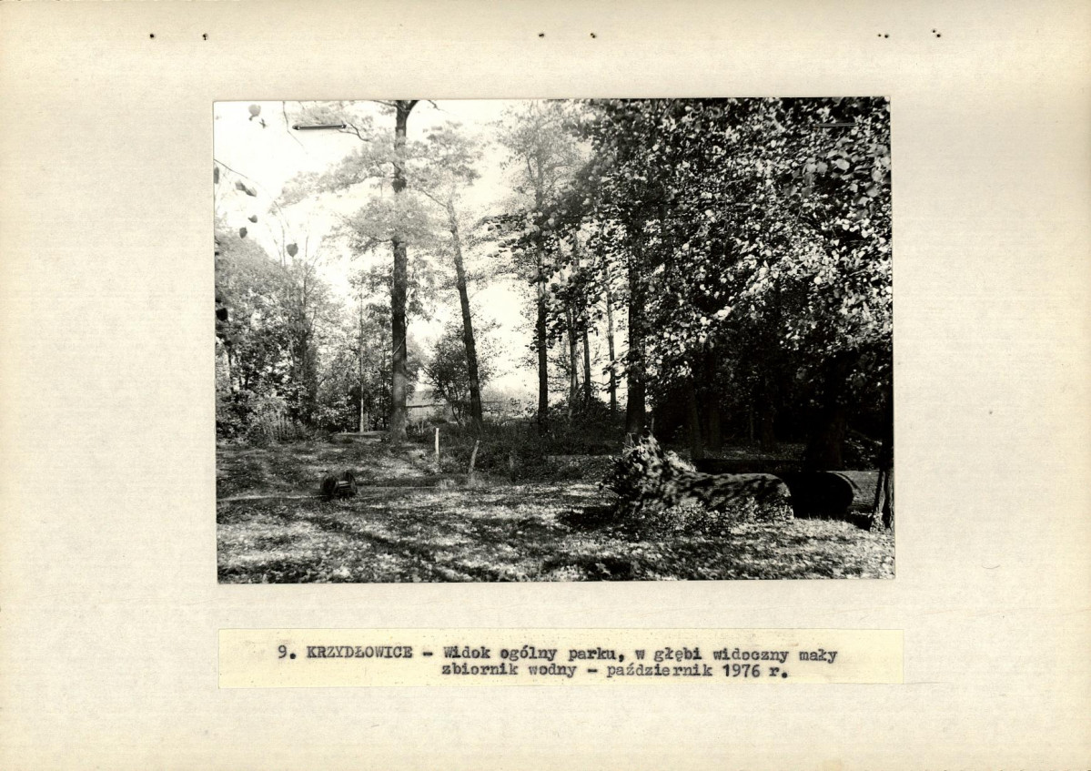 Ewidencja parkowa, skan nr 23