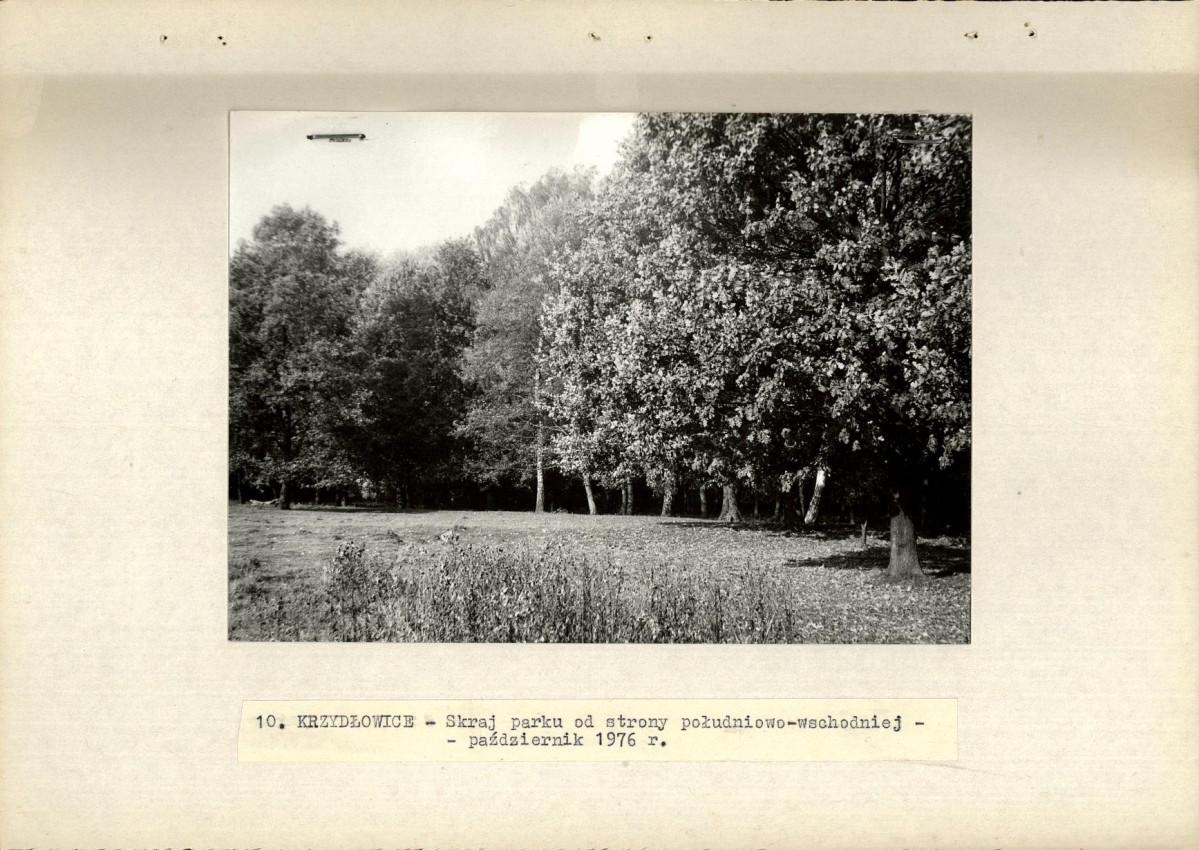 Ewidencja parkowa, skan nr 24