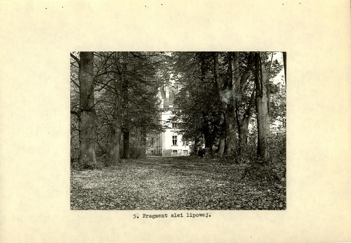 Ewidencja parkowa, skan nr 20