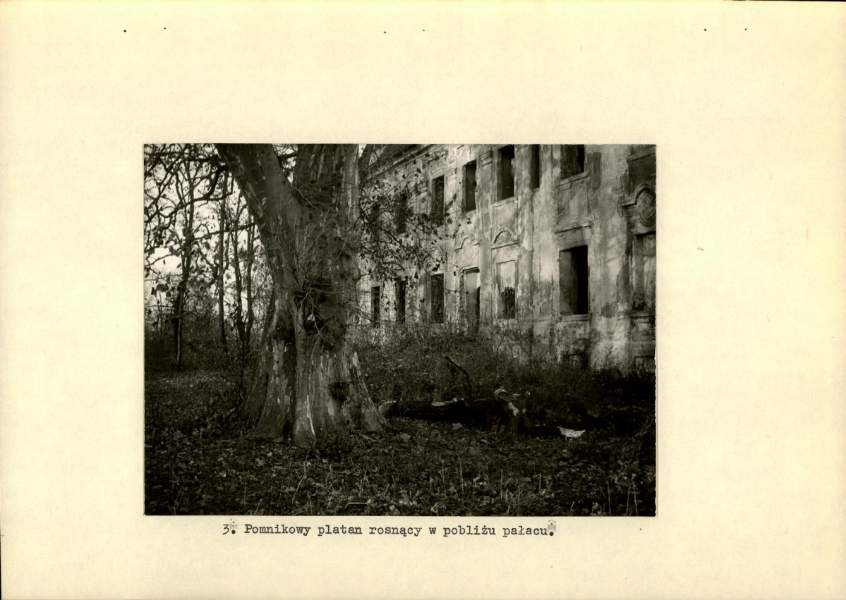 Ewidencja parkowa, skan nr 18