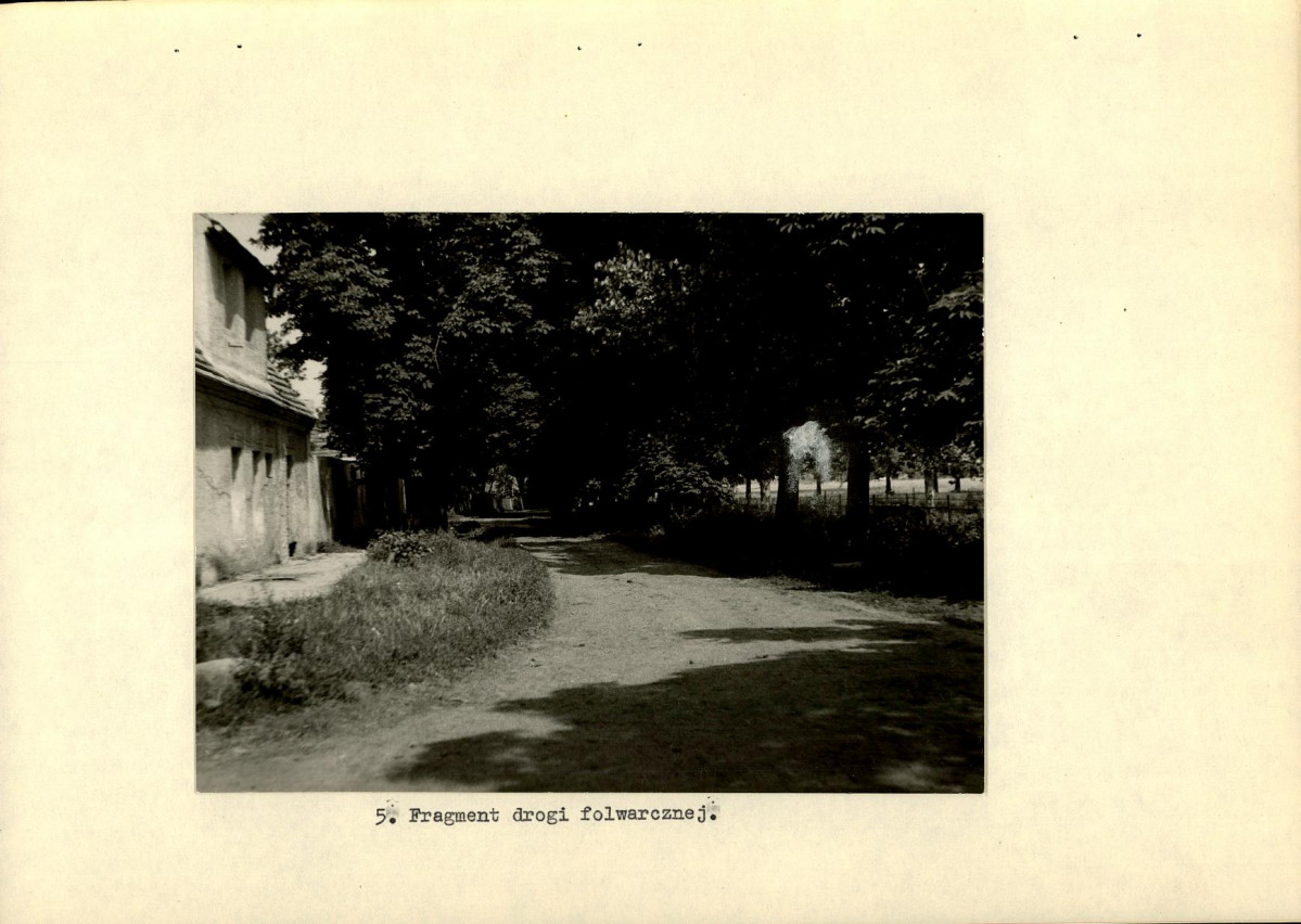 Ewidencja parkowa, skan nr 20
