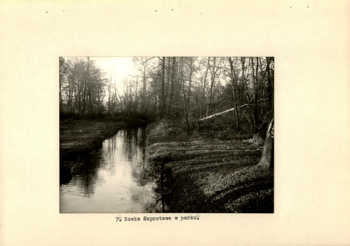 Ewidencja parkowa, skan nr 22