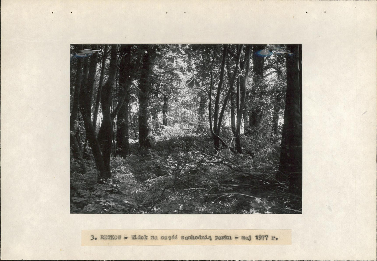 Ewidencja parkowa, skan nr 17