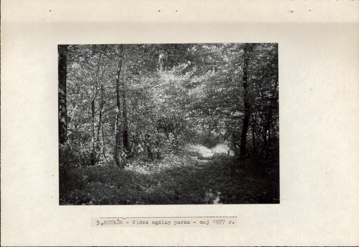 Ewidencja parkowa, skan nr 19