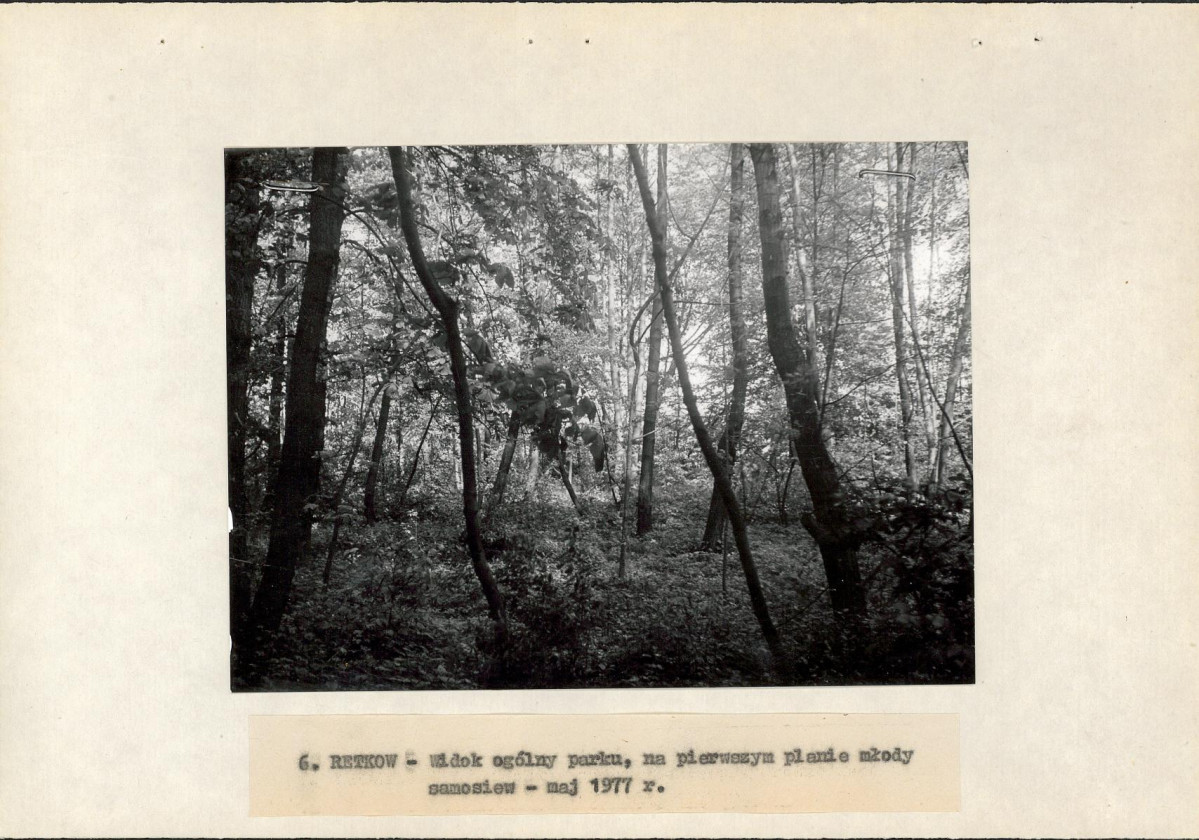 Ewidencja parkowa, skan nr 20
