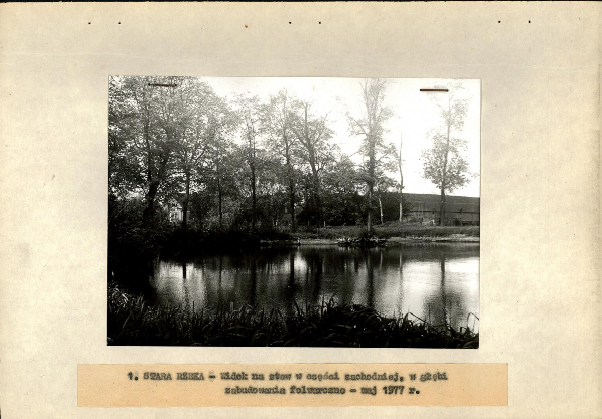 Ewidencja parkowa, skan nr 17