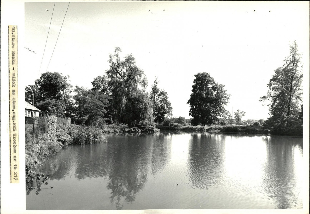 Ewidencja parkowa, skan nr 26