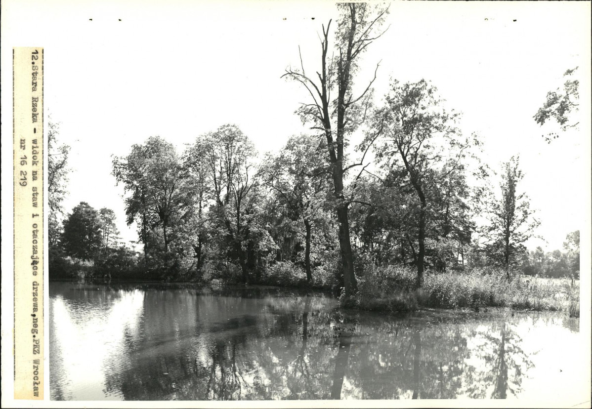 Ewidencja parkowa, skan nr 28