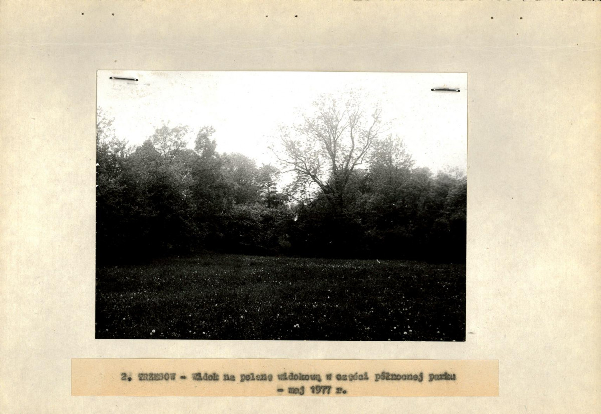 Ewidencja parkowa, skan nr 17