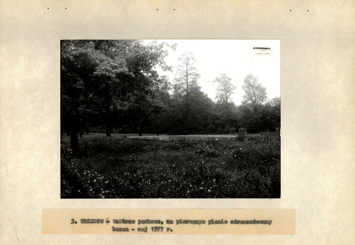 Ewidencja parkowa, skan nr 18