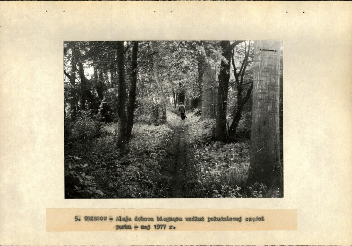 Ewidencja parkowa, skan nr 20